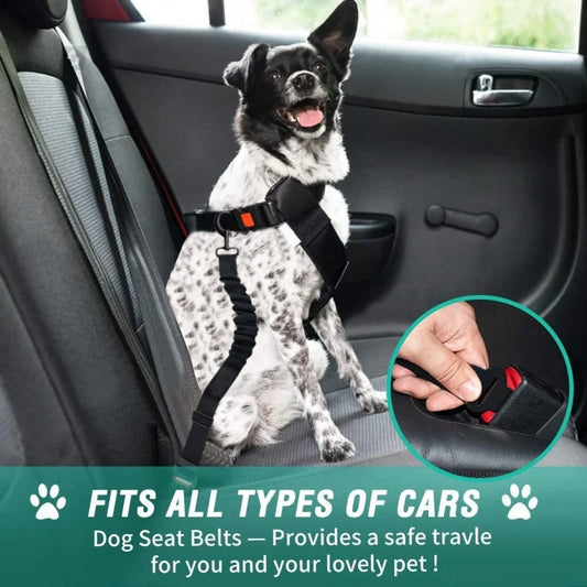 Car Dog Safety Buckle Pet Thickened Nylon Traction Elastic String Retractable Car Seat Belt Manufacturer