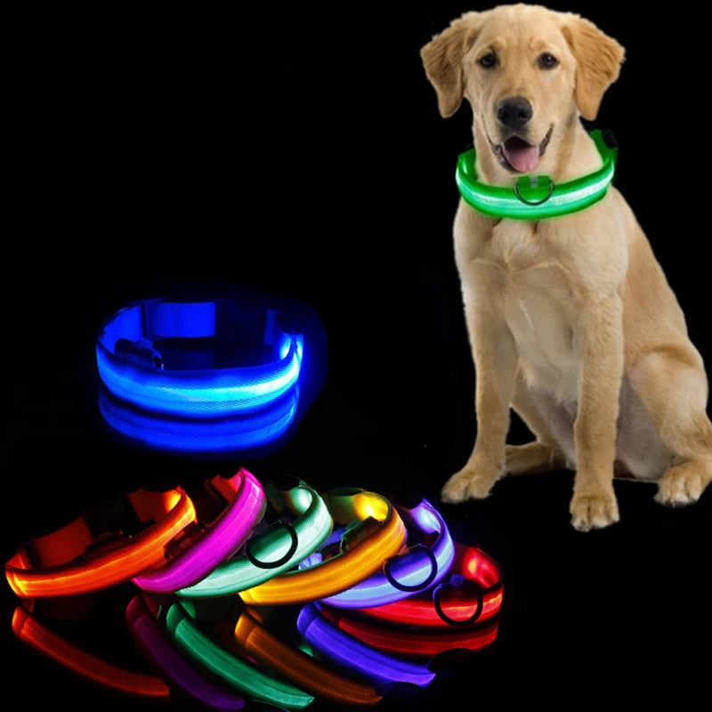 Led Dog Collar Light Anti-Lost Collar for Dogs Puppies Night Luminous Supplies Pet Products Accessories USB Charging/Battery