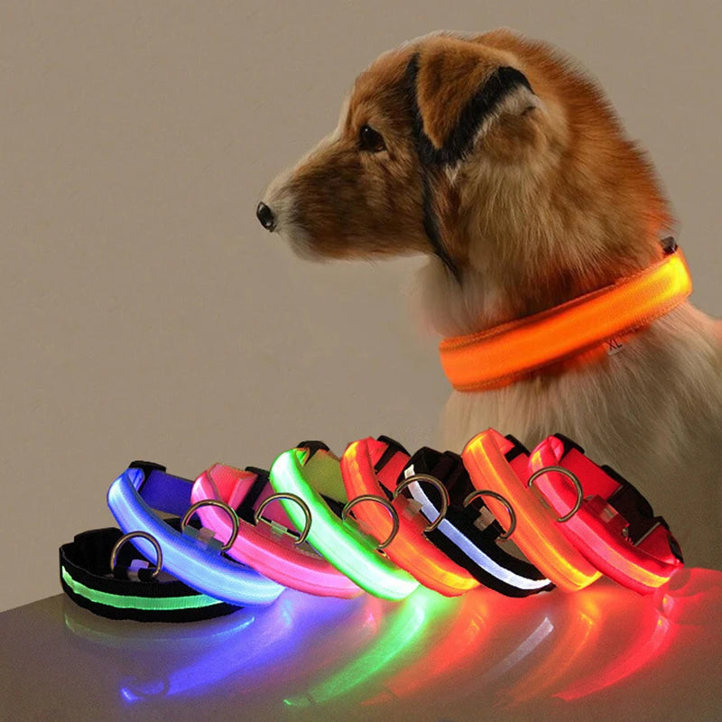 Led Dog Collar Light Anti-Lost Collar for Dogs Puppies Night Luminous Supplies Pet Products Accessories USB Charging/Battery